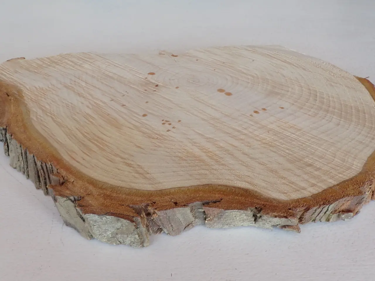 Billede 2 - Thuja Træskive med bark - 29,5 cm lang