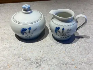 Kornblomst