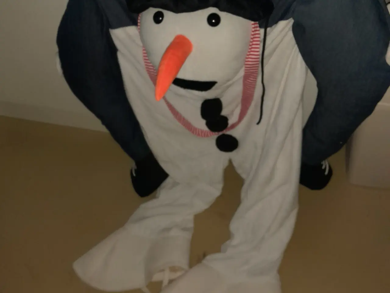Billede 2 - Snemands kustume