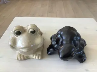 Frø og skildpadde