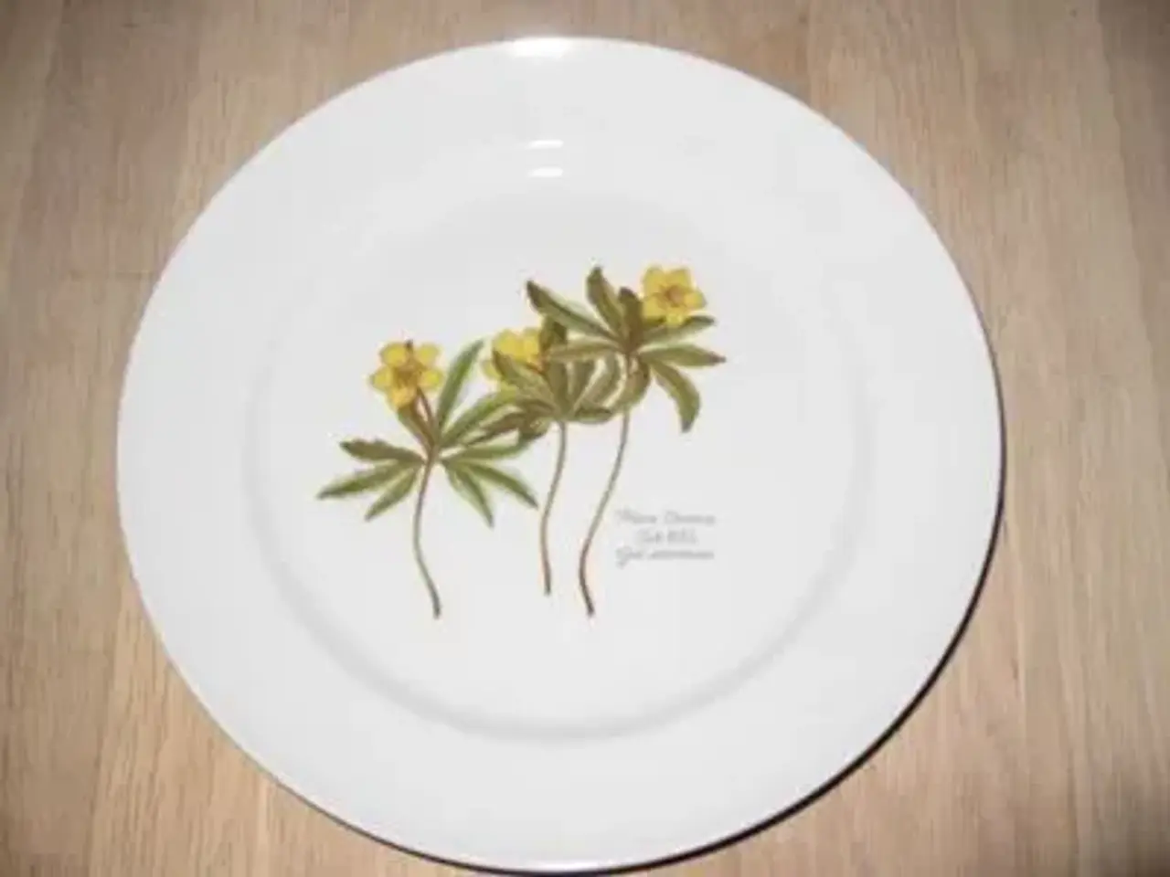 Billede 2 - Faxe Platter - Flora Danica - RETRO