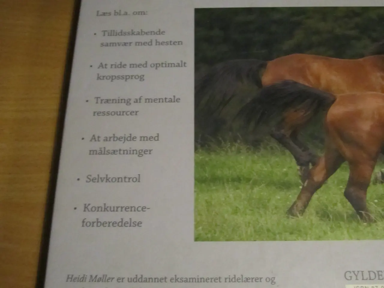 Billede 5 - Heidi Møller. DEN KOMPETENTE RYTTER.