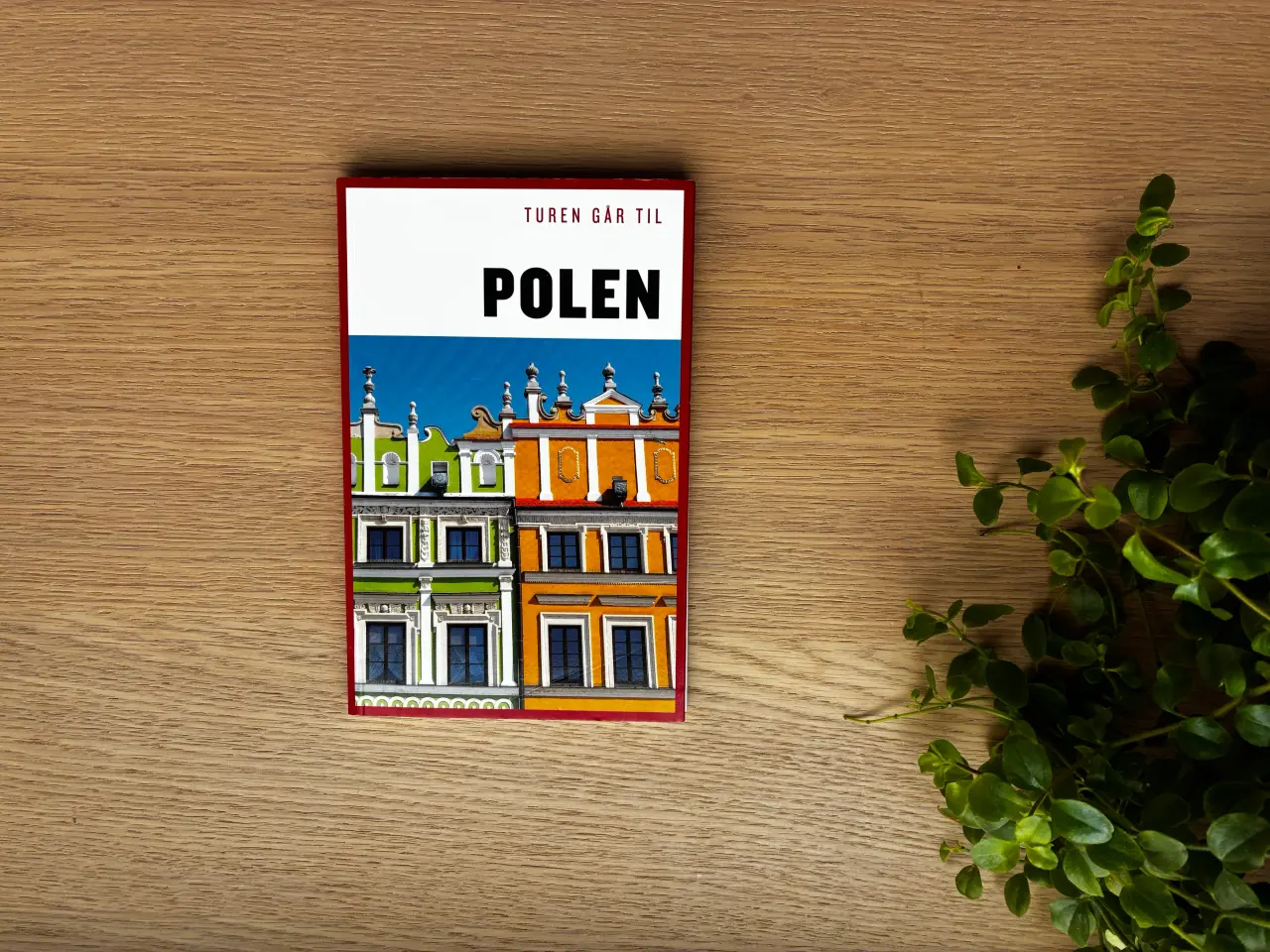 Billede 1 - Turen går til POLEN