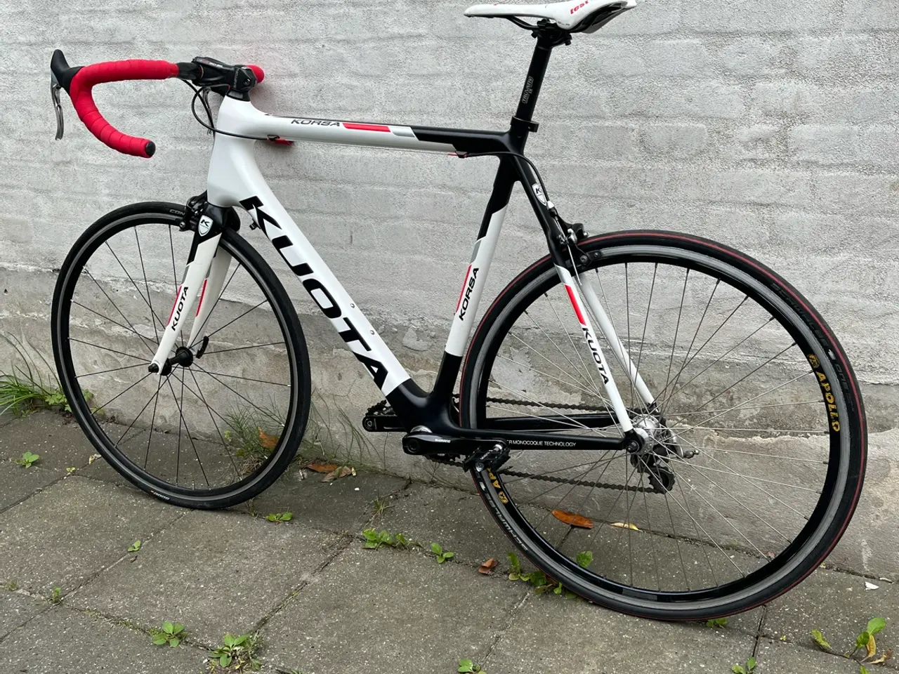 Billede 1 - Kyota carbon singlespeed racercykel 7 kg