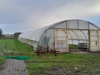 Tunneldrivhus
