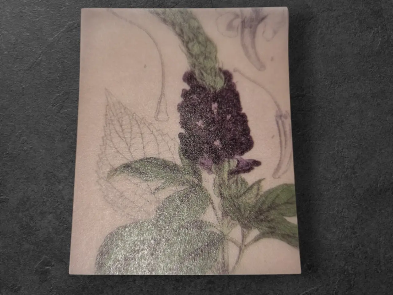 Billede 13 - Annonce 95 - Hobby