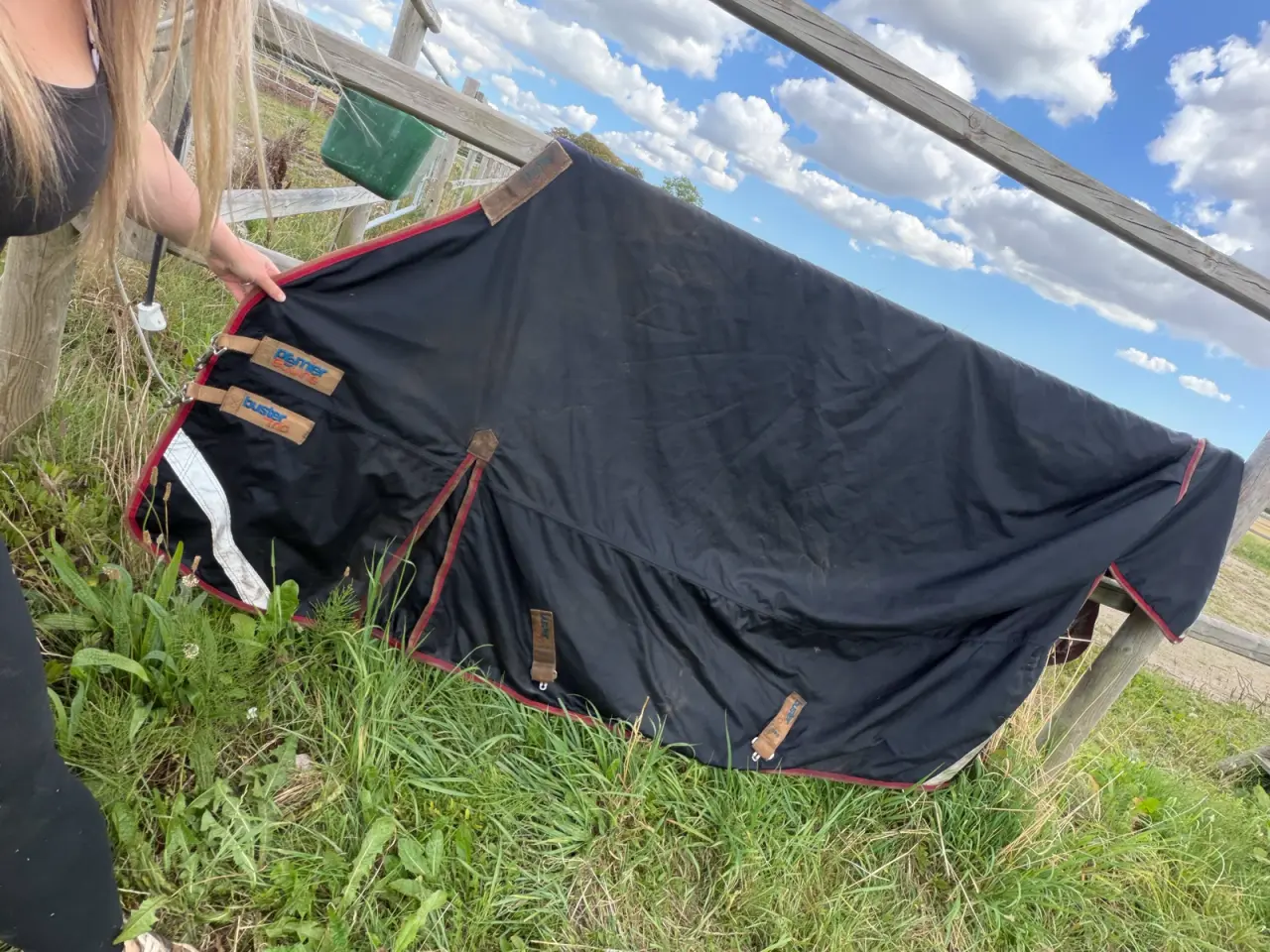 Billede 1 - Kvalitets dækken 100g str hest premier equine bust