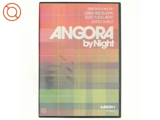 Angora by night