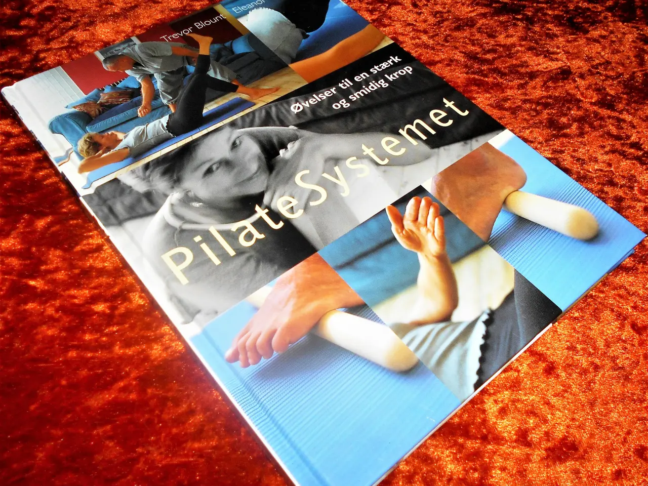 Billede 1 - PilateSystemet, Trevor Blount, Eleanor McKenzie