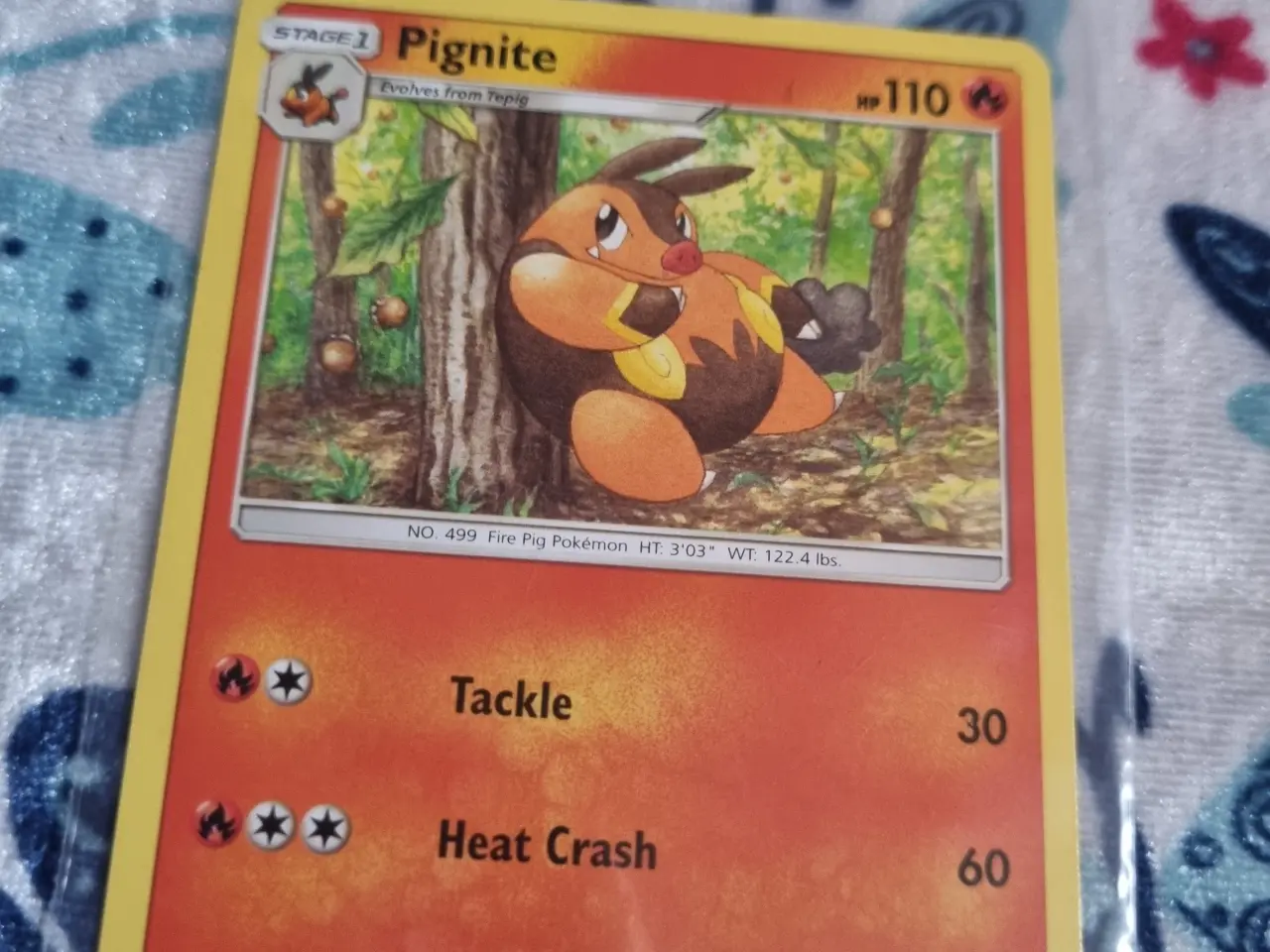 Billede 5 - Annonce 631 - Pokemon