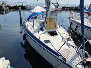Lækker klargjort Maxi 84