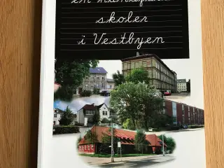 en håndfuld skoler i Vestbyen  -  Aalborg 2011