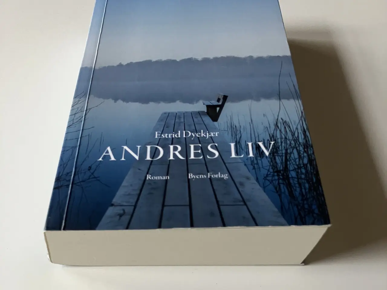 Billede 4 - Andres liv. Af Estrid Dyekjær
