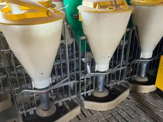 - - - 14 stk.
