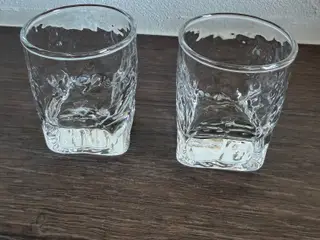 Shots glas