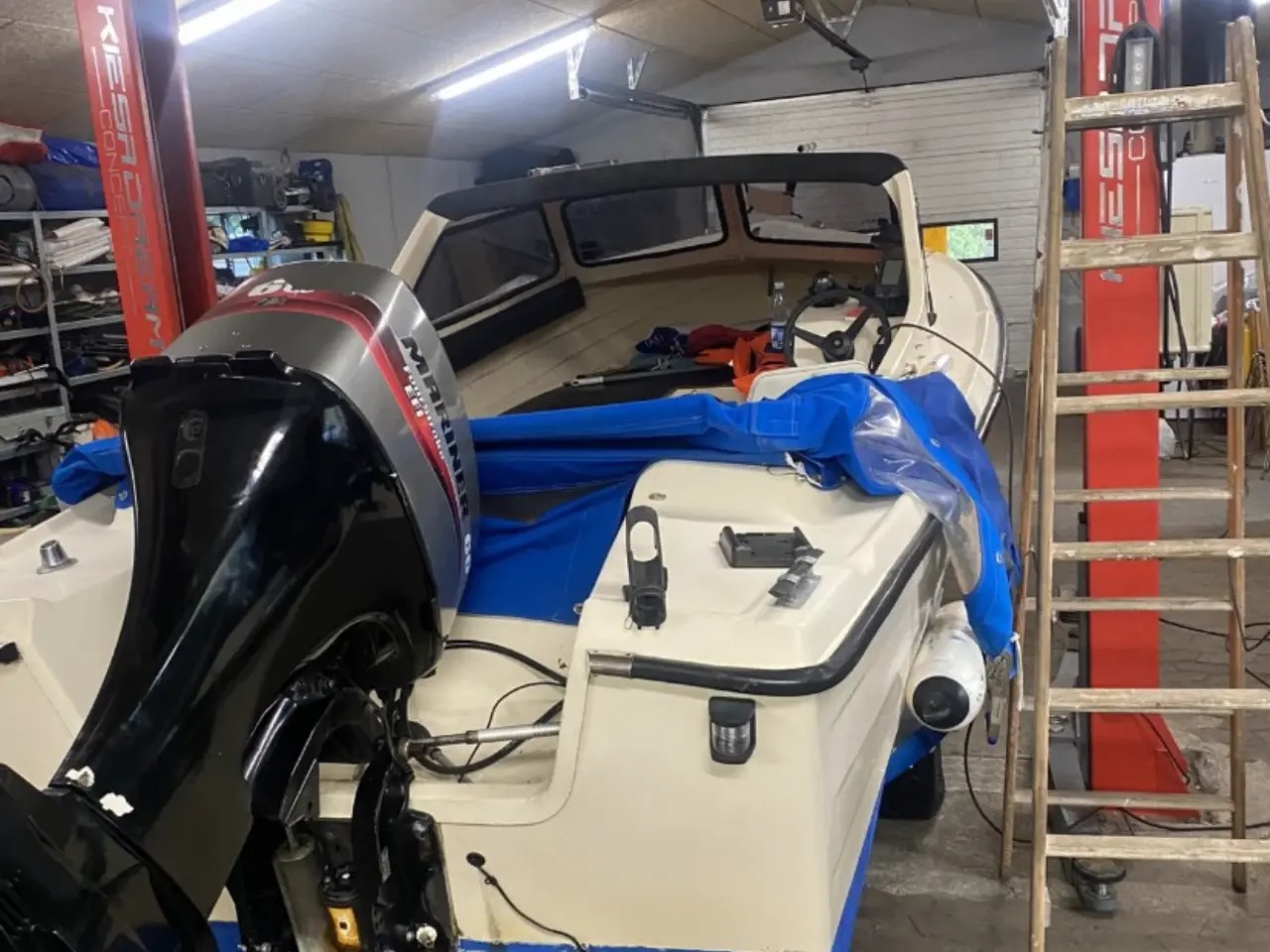 Billede 5 - Ryds 565 60hk marianer