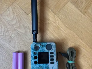 BolyGuard BG310-M 4G vildtkamera i 18MP