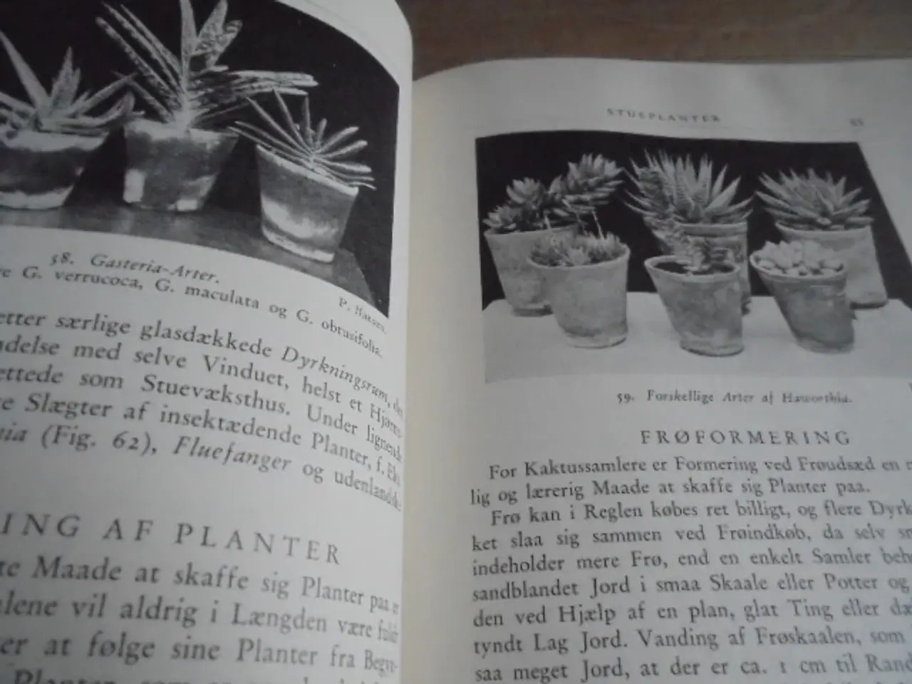 Billede 7 - Natursamleren – Hans Hvass – udg. fra 1942