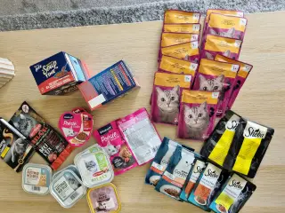 Diverse vådfoder til kat 😻