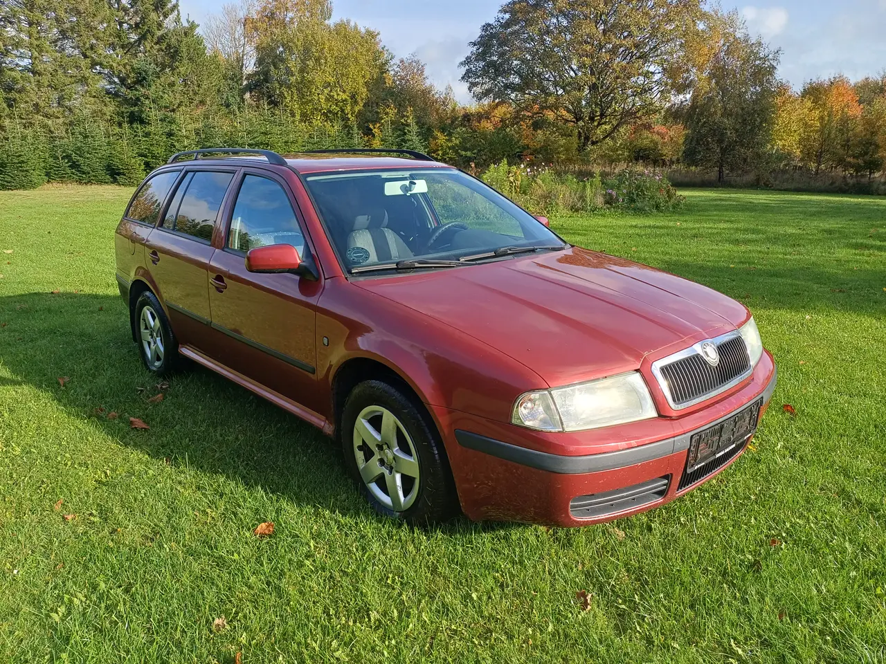 Billede 2 - Skoda Octavia 1,9 tdi