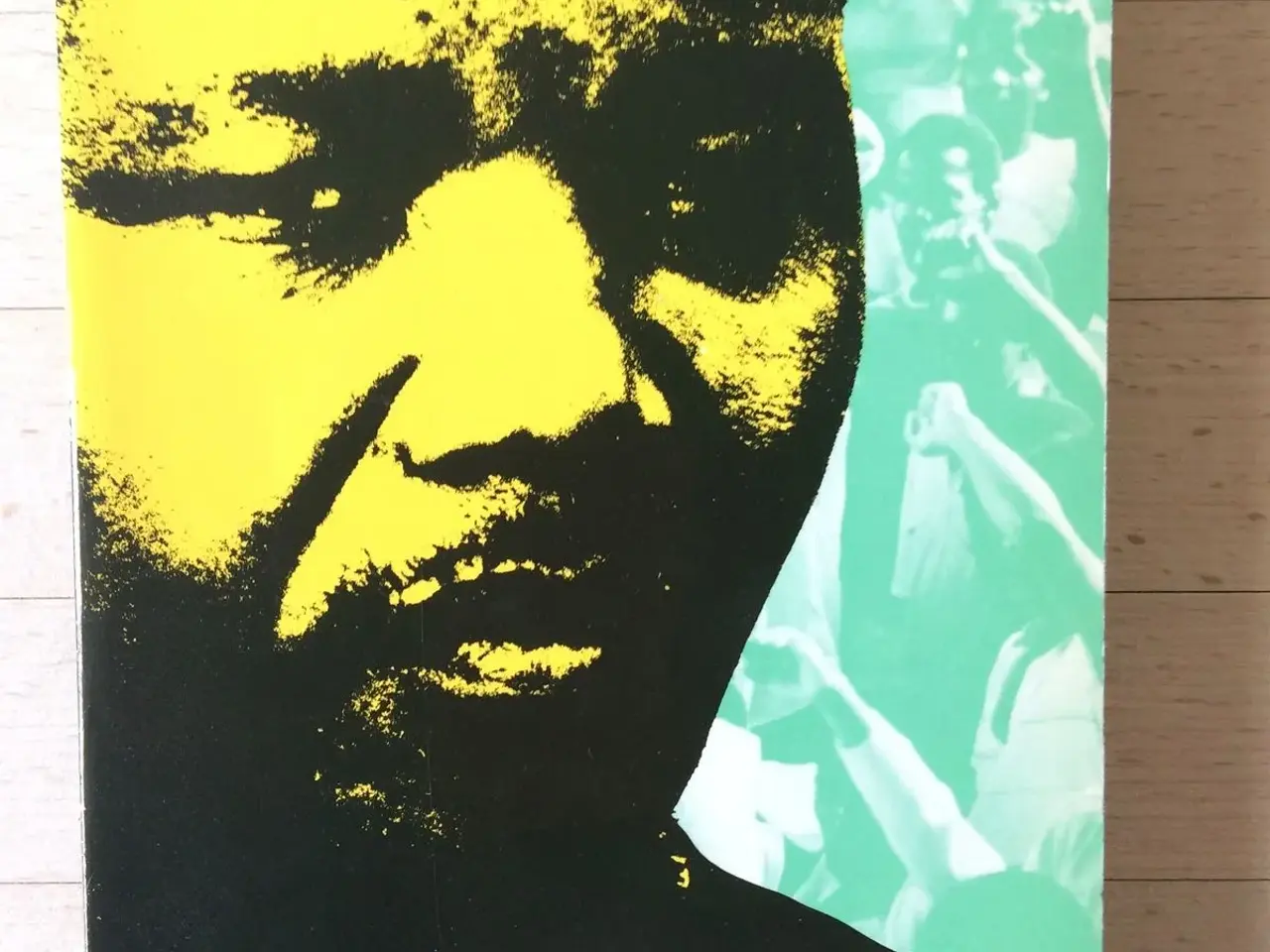 Billede 1 - Kampen er mit liv, Nelson Mandela