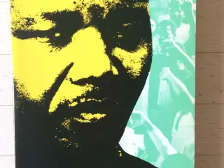 Kampen er mit liv, Nelson Mandela