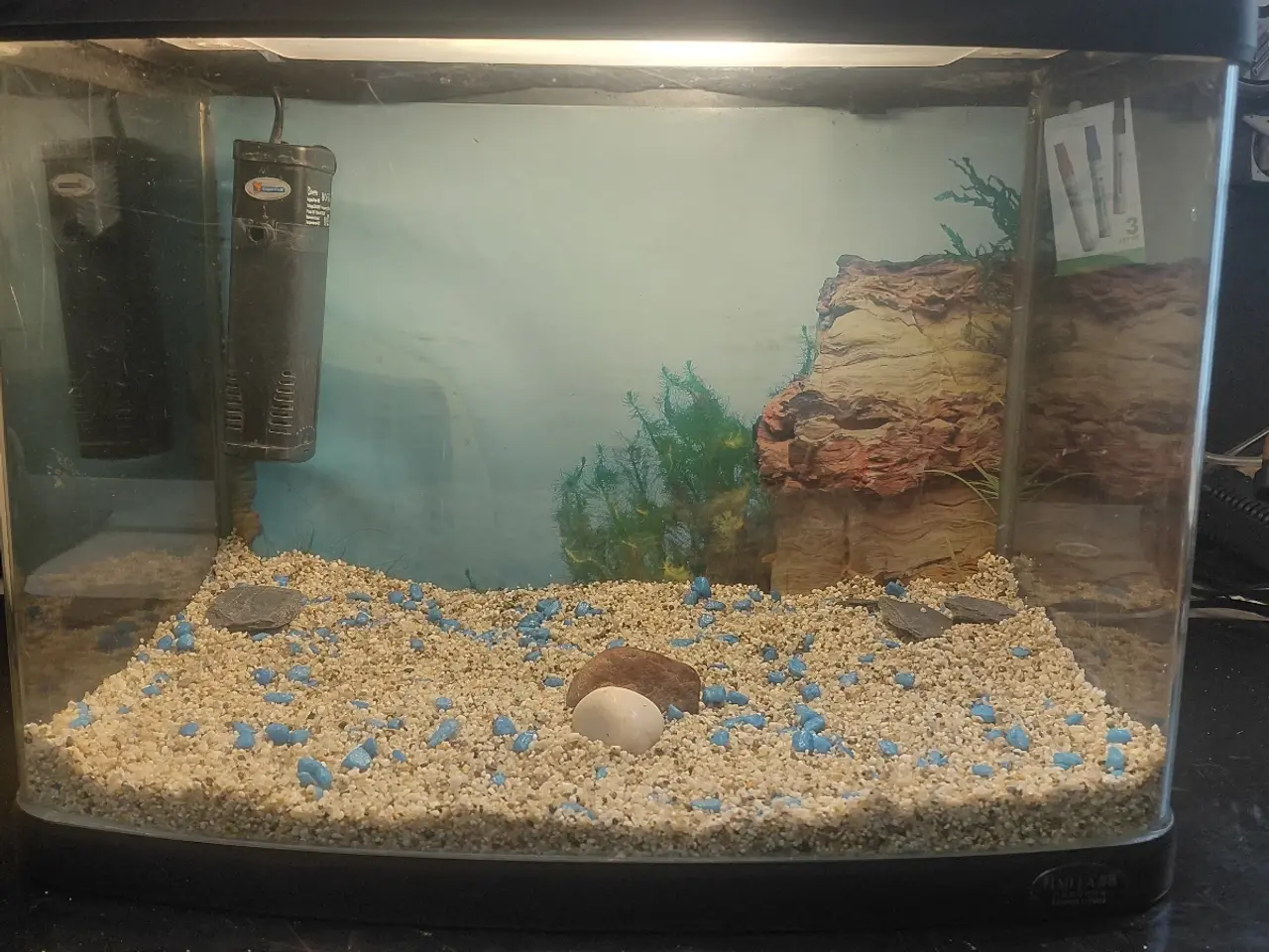 Billede 6 - Akvarier 20L