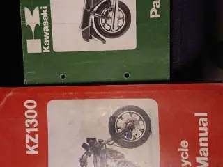 Kawa Z1300