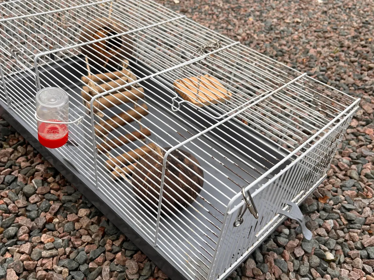 Billede 3 - Hamster bur med tilbehør