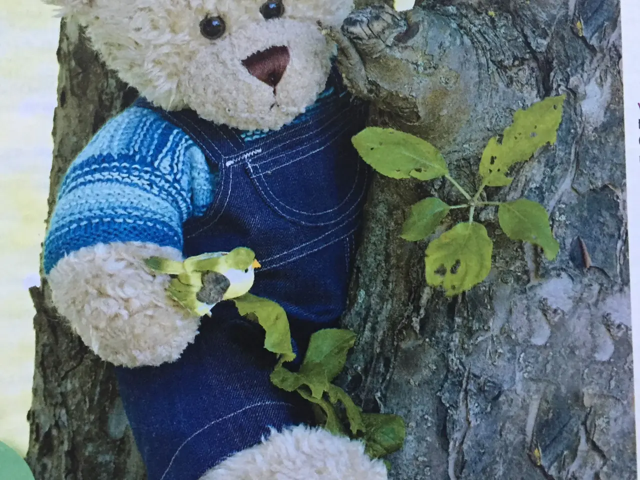 Billede 6 - Baby Born og Build-a-Bear