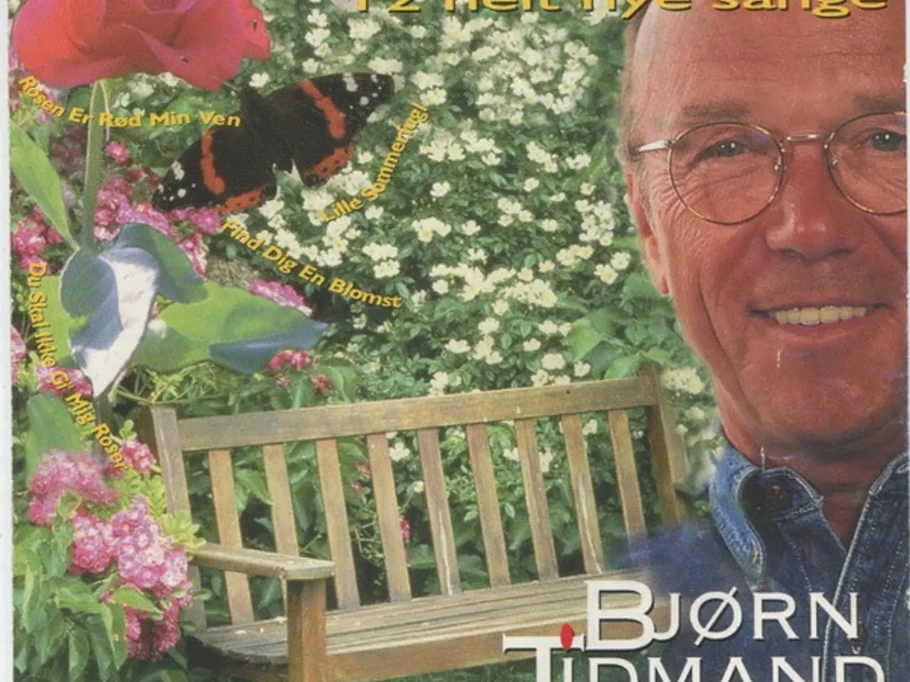 Billede 1 - Bjørn Tidmand – Et Sted Indeni – CD
