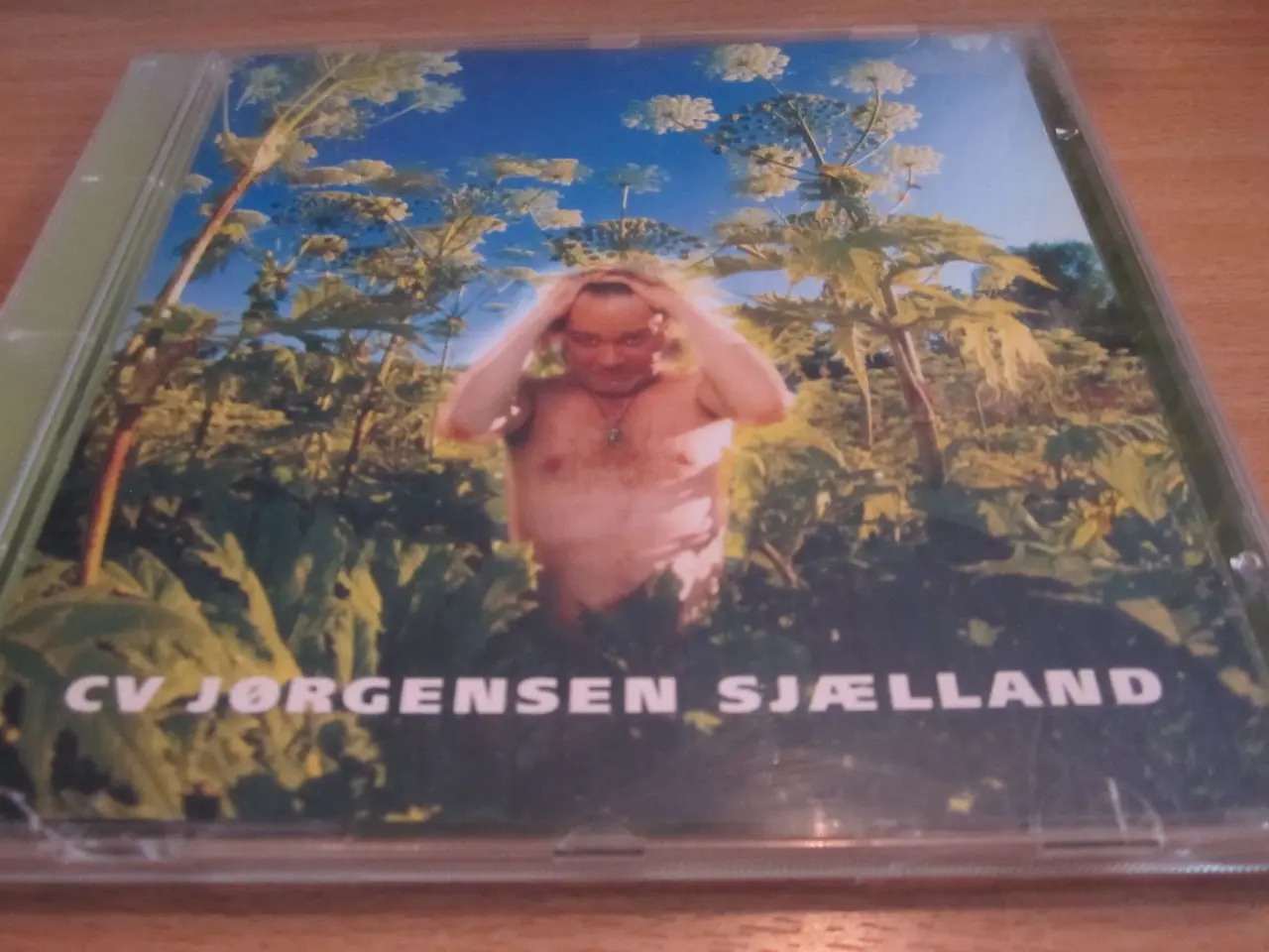 Billede 1 - CV. JØRGENSEN. Sjælland 1994.