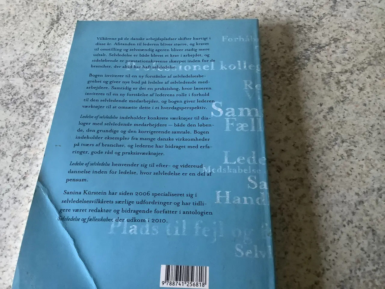 Billede 6 - Helt ny “Ledelse af selvledelse” Sanina Kurstein