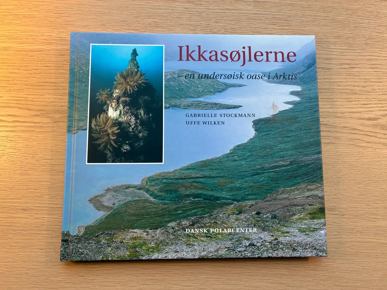 Billede 1 - Ikkasøjlerne - en undersøisk oase i Arktis