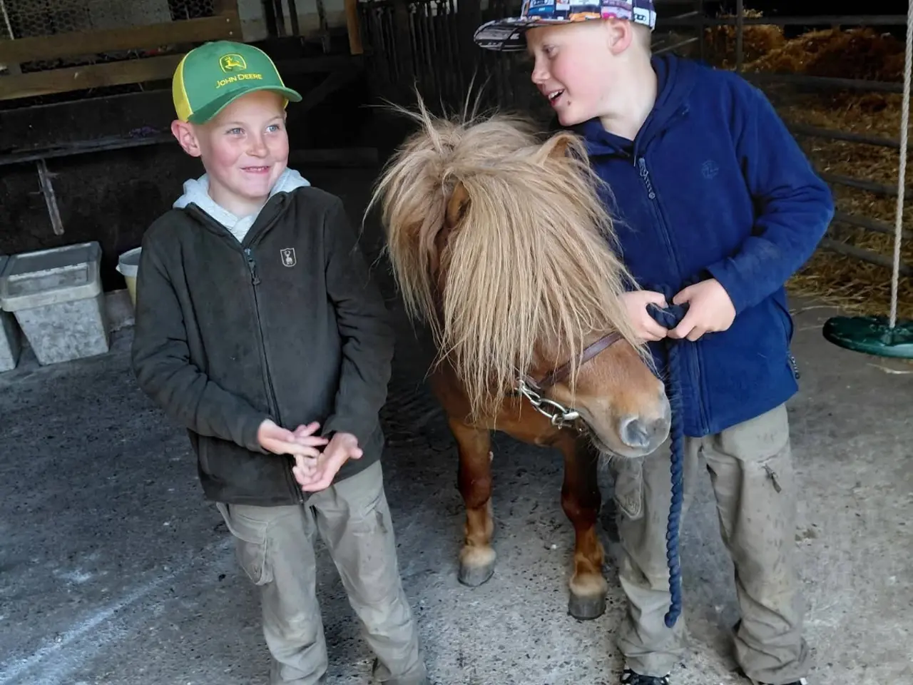 Billede 3 - Sødeste shetlandspony hingst sælges