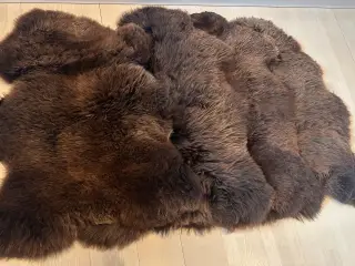 4 helt nye lammeskind