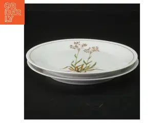 Porcelænstallerkener med blomstermotiv fra Royal Tettau (str. Ø 17 cm)