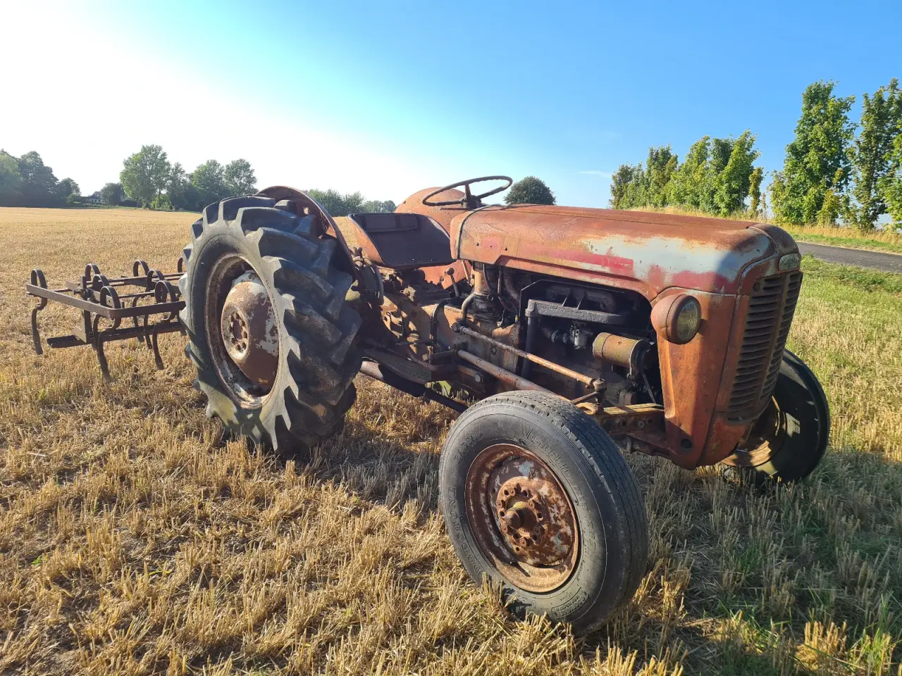 Billede 3 - FE35 Ferguson Guldfugl MF35