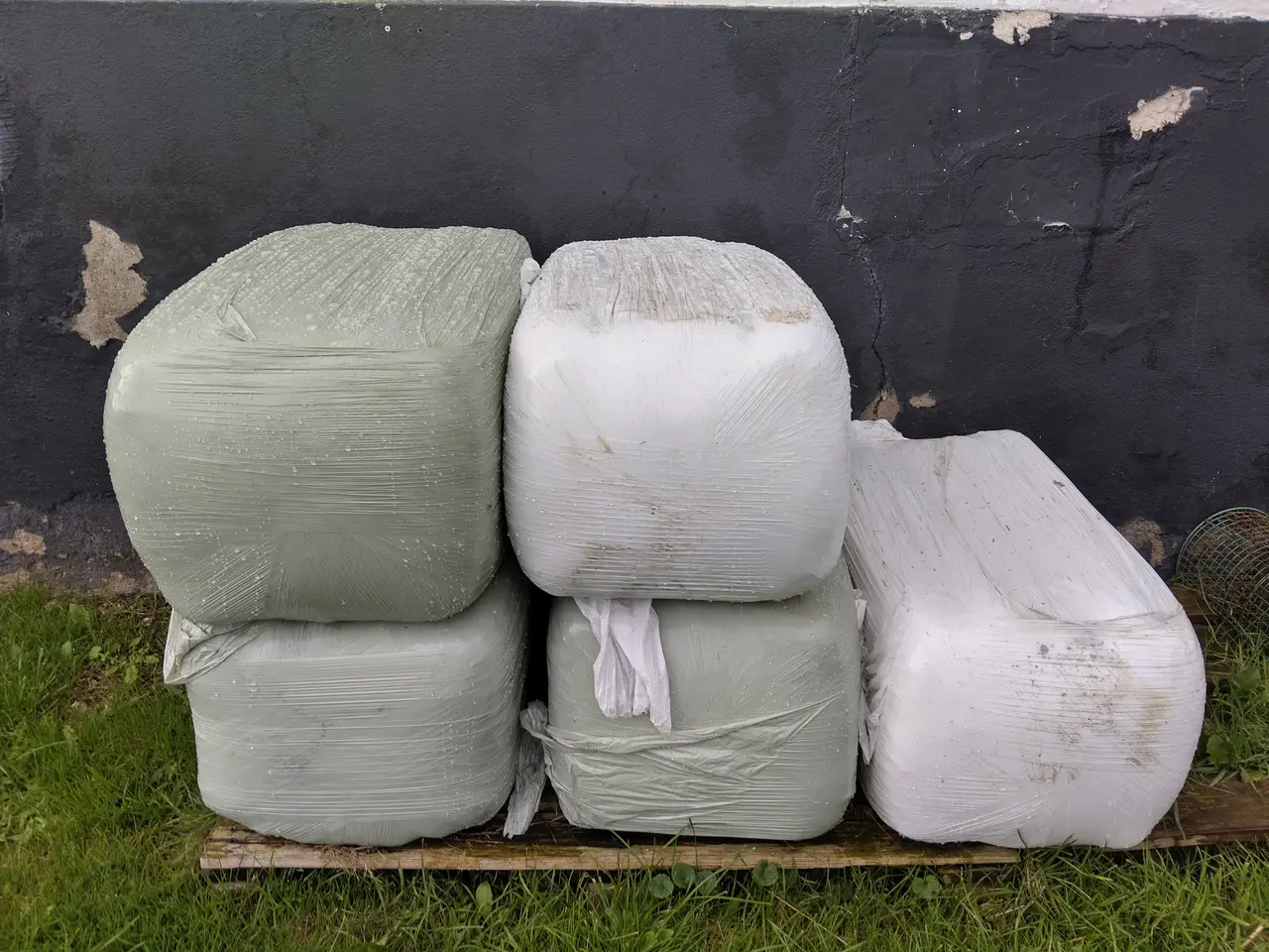 Billede 2 - Wrap hø til heste
