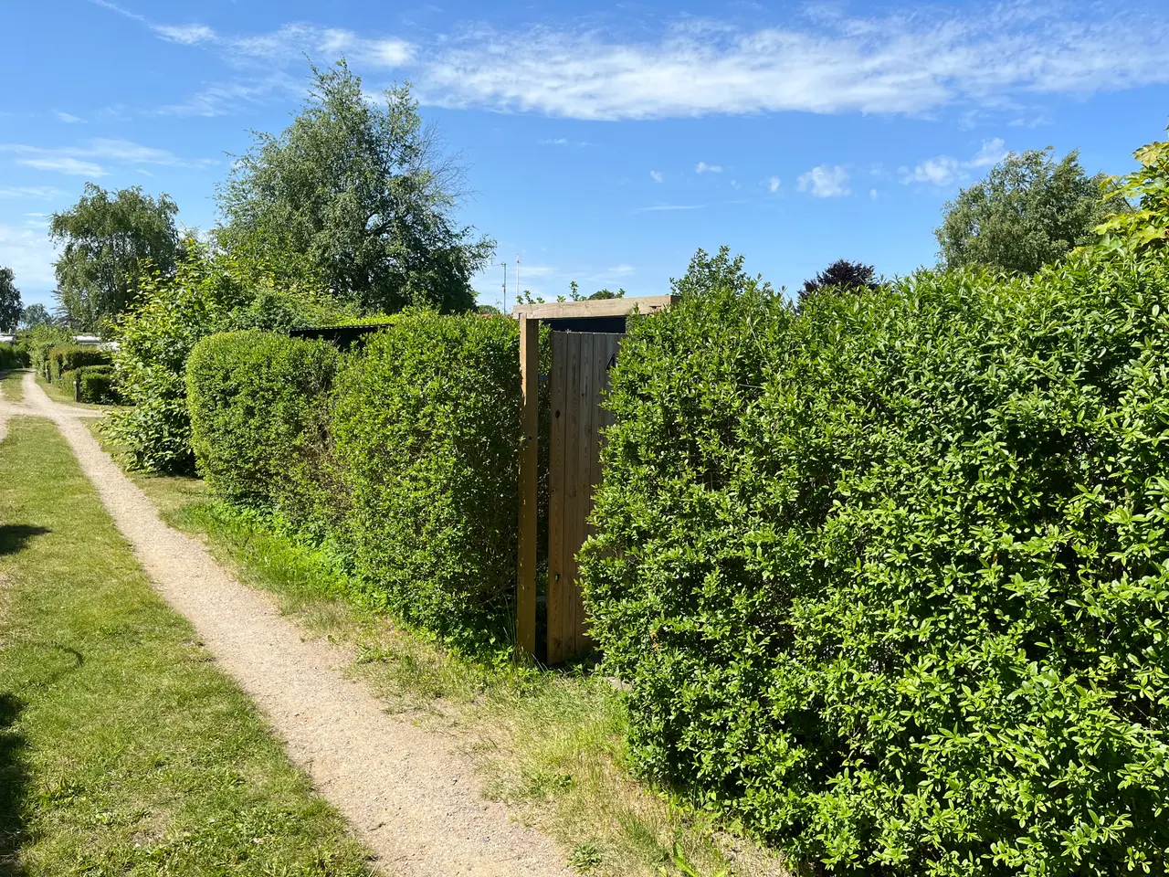 Billede 15 - Kolonihave i Hillerød (ingen bopælspligt)