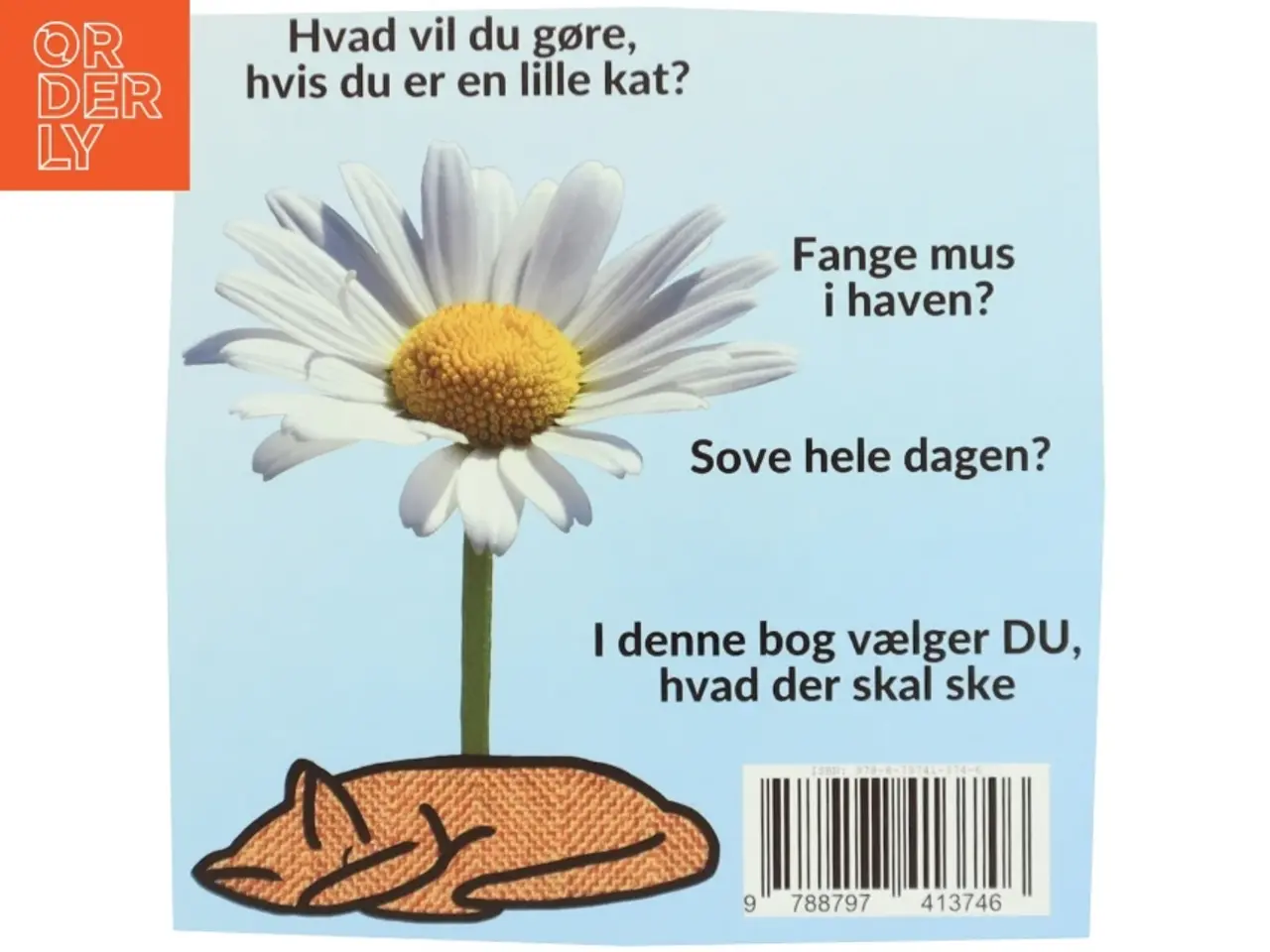 Billede 3 - Hvad vil du, når DU leger kat - af Sarah Kirstein