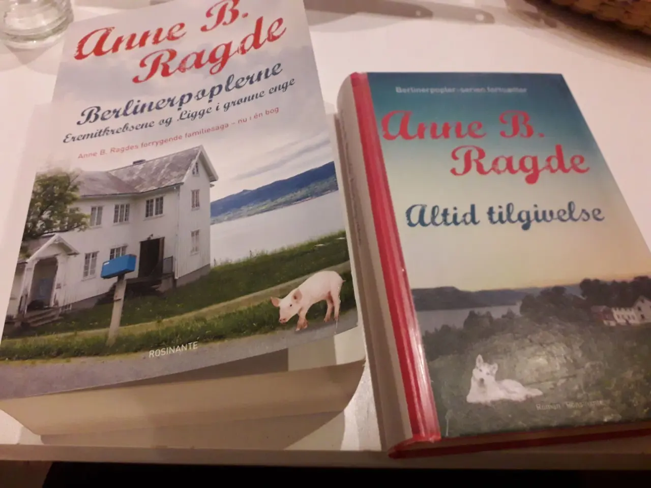Billede 1 - Anne B Ragde