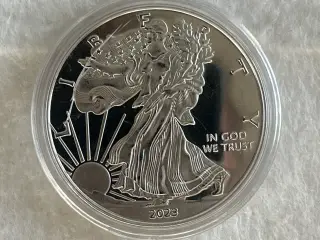 Nye America eagle .