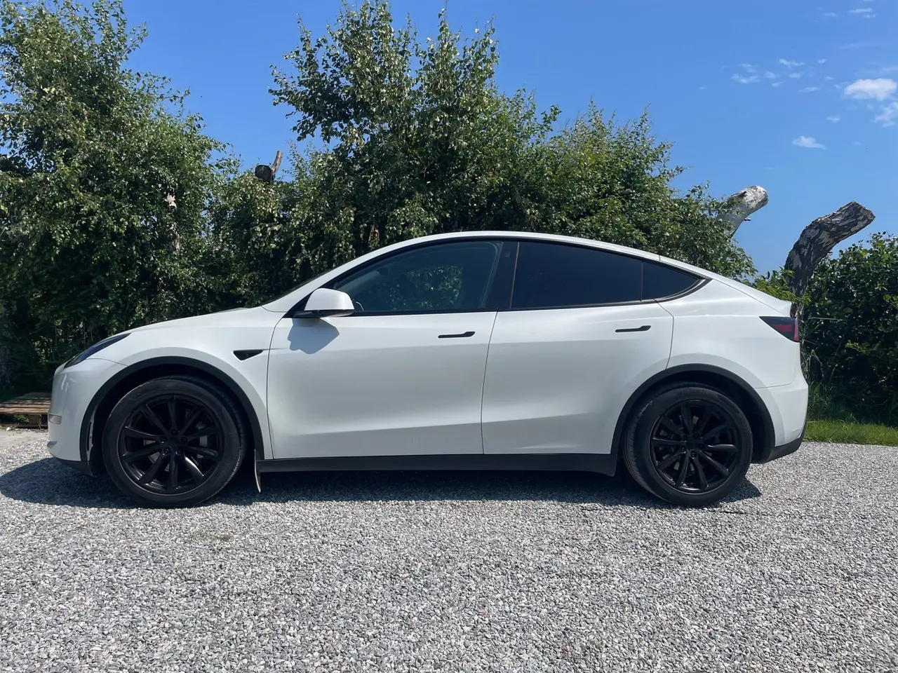 Billede 2 - Tesla Model Y Long Range AWD