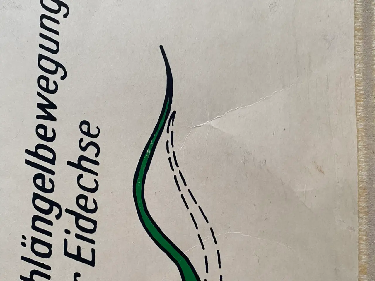Billede 3 - Anskuelsestavle Reptilier