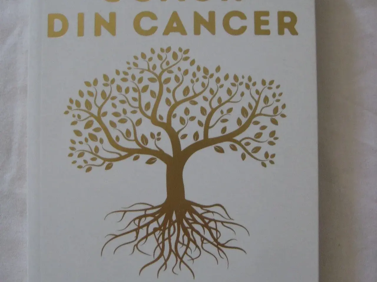 Billede 1 - Coach din cancer