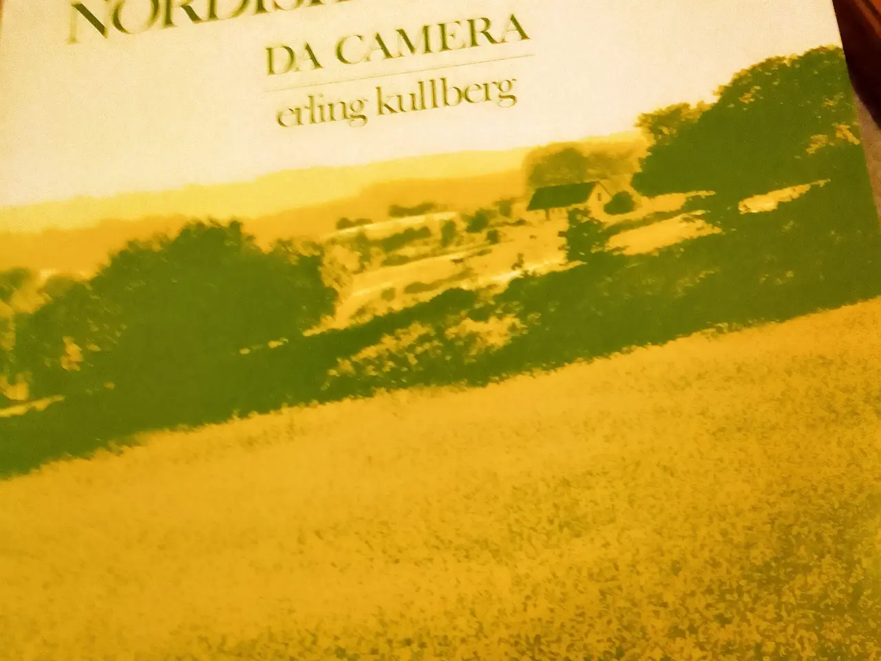 Billede 1 - Nordisk korlyrik. Da Camera. Dirigent: Kullberg.