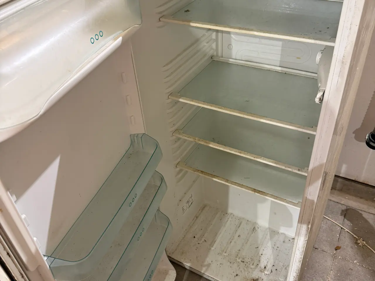 Billede 5 - Electrolux køleskab
