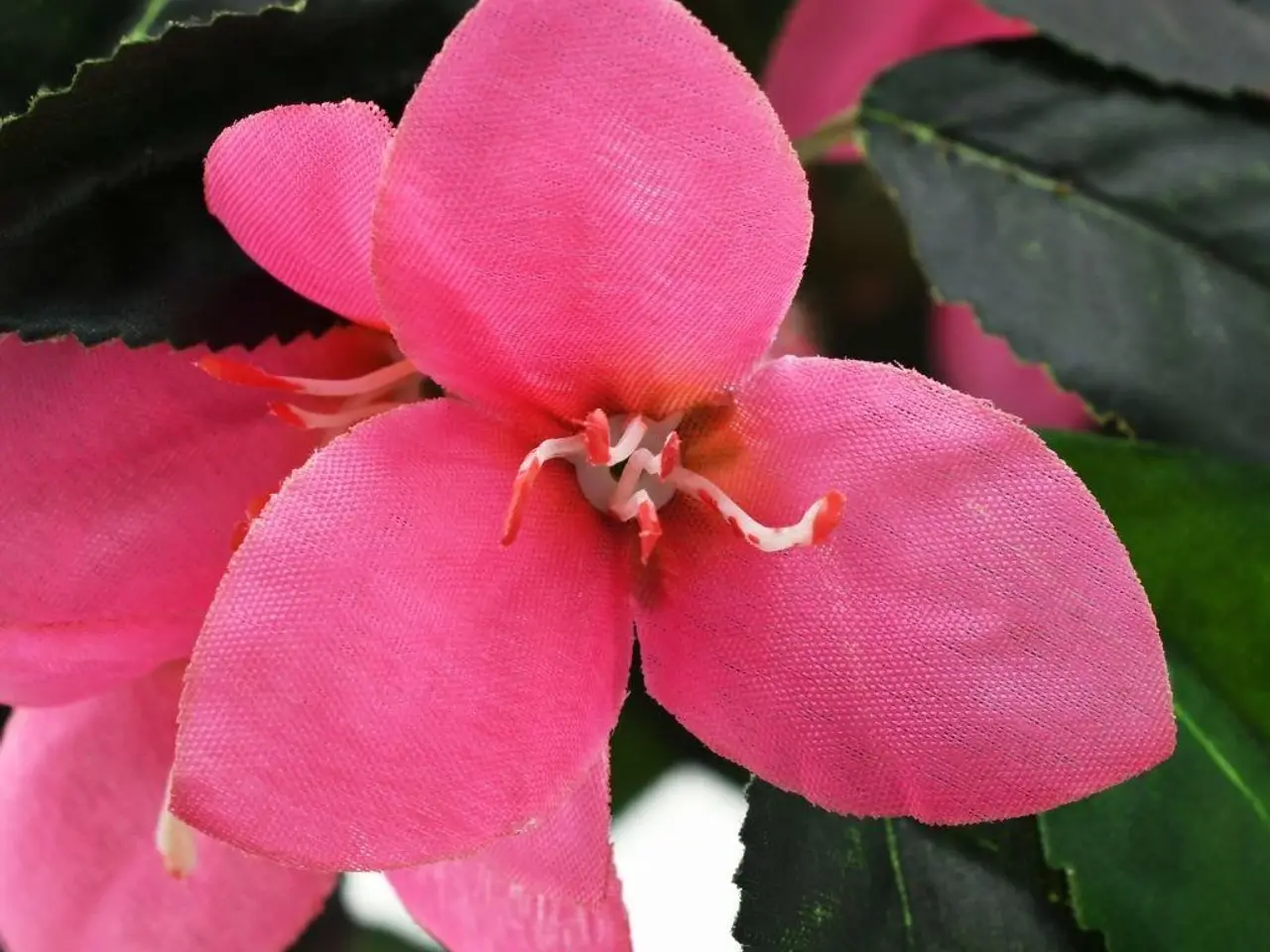 Billede 2 - Kunstig rhododendron med krukke 155 cm - grøn og pink