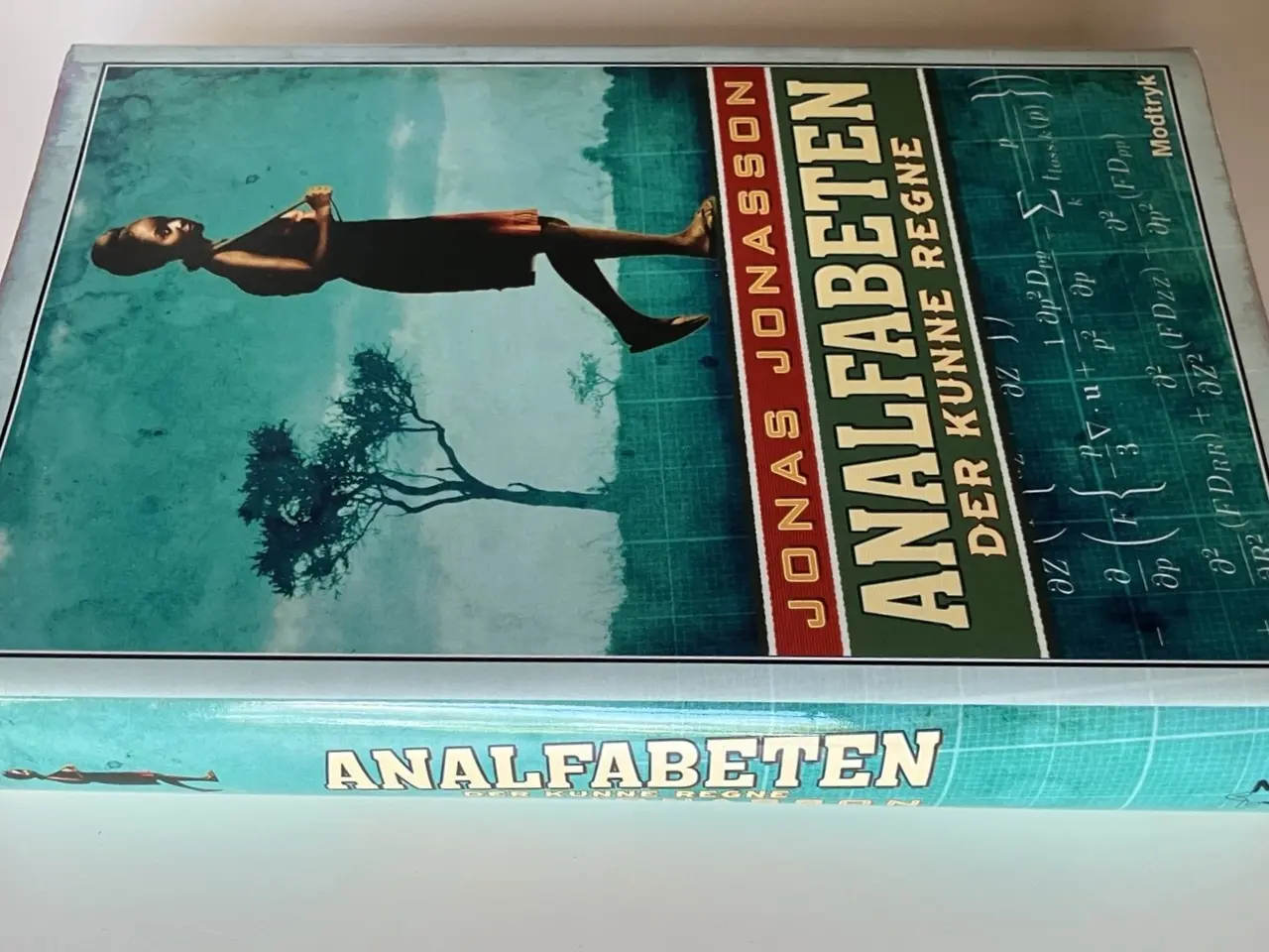 Billede 3 - Analfabeten der kunne regne. Af Jonas Jonasson